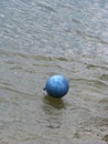 Blue summer water balloon sammer day