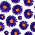 Blue sunny aster flowers seamless pattern Royalty Free Stock Photo