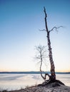 Blue sunset at frozen sea bay. Clear blue sky, deep freeze and clear air Royalty Free Stock Photo