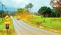 Blue SUV car of the tourist driving with caution during travel at asphalt road near yellow traffic sign with deer jumping Royalty Free Stock Photo