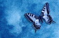 Blue swallowtail butterfly. Abstract blue watercolor background. Blue abstract background. Wet watercolor paper Royalty Free Stock Photo