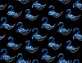 Blue swan with white wings on black background Royalty Free Stock Photo