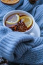 Blue sweater and cup of hot tea with lemon cinnamon sticks and anise star. Dry slices of citrus orange and cones. Hot Royalty Free Stock Photo