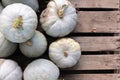 Blue Sweet Meat Squash on Wooden Background