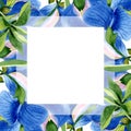 Blue Sweet Pea Floral Botanical Flowers. Watercolor Background Illustration Set. Frame Border Ornament Square.
