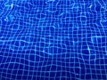 blue swimming pool water with tiles and palm tree shadow Royalty Free Stock Photo