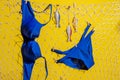 A blue swimsuit and wooden fish with a lifebuoy hang on a fishing net on a yellow background Royalty Free Stock Photo