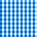 Blue tablecloth pattern. Seamless checkered