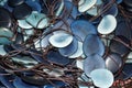 Blue tagua nut beads Royalty Free Stock Photo