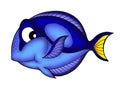 Blue Tang fish Royalty Free Stock Photo