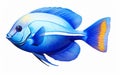 Blue Tang Fish Isolated on White -Generative Ai Royalty Free Stock Photo