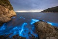 Blue tears Noctiluca scintillans.