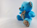 Blue teddy bear plush figure Kawaii collection 