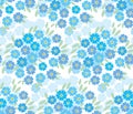 Blue tender forget-me-not flowers in retro style. Royalty Free Stock Photo