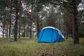 Blue tent in a pine forest. Two oars stand next to the pine trunk. Royalty Free Stock Photo