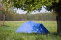 Blue tent under the tree