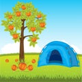 Blue tent under tree