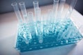 Blue test tubes close up in a biology labaratory Royalty Free Stock Photo