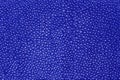 Blue texture leather shagreen Royalty Free Stock Photo