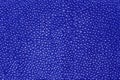 Blue texture leather shagreen Royalty Free Stock Photo