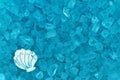 Blue textured beach glass with seashell closeup background
