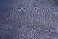 Blue textured leather reptiles, used texture for the background. Lizard or crocodile skin Royalty Free Stock Photo