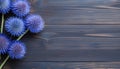 Blue thistle flowers on wooden background. Top view with copy space Royalty Free Stock Photo