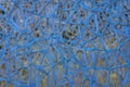 Blue threads web tangle soft focus material object background looks like DNA structure