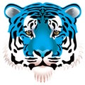 Blue tiger head