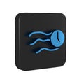 Blue Time flies on the clock icon isolated on transparent background. Black square button.