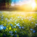 Blue tiny flowers on spring blooming meadow with flying butterflies. Banner of a fresh blooming forget-me-not in the sunshine. Royalty Free Stock Photo