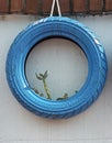 Blue tire Royalty Free Stock Photo