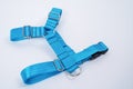 Blue tissue dog harness with silver metal fittings isolated on white background. For a safe trip and walk with your pet. Pet