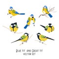 Blue tit and great tit vector set isolated on white background. Winter forest bird animal character illustration Royalty Free Stock Photo