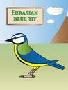 Blue Tit Royalty Free Stock Photo
