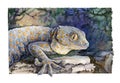 Blue tokay gecko on the stone watercolor illustration. Tropical jungle lizard. Hand drawn exotic reptile in the jungle with natura