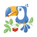 Blue toucan sits on branch and eats berry