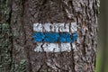 Blue tourist sign or mark on tree Royalty Free Stock Photo