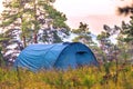 A blue tourist tent stands in a pine forest