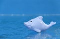 Blue toy dolphin on a sea background Royalty Free Stock Photo