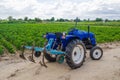 Blue tractor with a cultivator plow and the green field of the Bulgarian pepper plantation on the background. Farming, agriculture Royalty Free Stock Photo