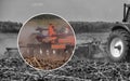 blue tractor plows the field and removes the remains of previously mown corn. Part of the cultivator, steel, round discs in a row