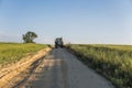 A blue tractor rides along a road in a wheat field.