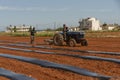 A blue tractor and workers planting water melon seeds and covering with black plastic