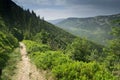 On the slope of the mountain Stoh in the Giant Mountains in the Czech Republic Royalty Free Stock Photo