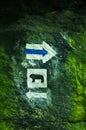 Blue trail mark with bear symbol