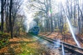 Blue train rides on narrow gauge railway in autumn forest Royalty Free Stock Photo