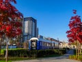 A blue train between two red leaf trees and buildings in the background and a blue sky Royalty Free Stock Photo