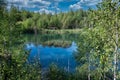 A blue tranquil lake with scattered islets of reed and surrounded by birches on its shores. A quarry flooded as a result of human Royalty Free Stock Photo