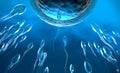 Blue transparent sperm cells swimming towards egg cell Royalty Free Stock Photo